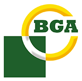 BGA V994934 HYUNDAI i10 (IA) Valvola di Scarico