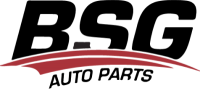 BSG 30992029