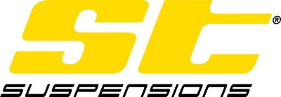 STsuspensions