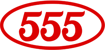 555 SB-6202 Traggelenk und Führungsgelenk ROVER COUPE Kosten