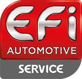 ROVER 1996 100 Montagesatz, Zündschaltgerät von EFI AUTOMOTIVE online kaufen