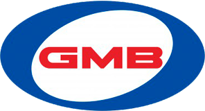 GMB GC40010 Kinyomócsapágy PROTON GEN-2 eredeti
