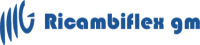RICAMBIFLEX GM