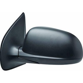 Espelho Retrovisor 6806225 de DIEDERICHS de qualidade OEM