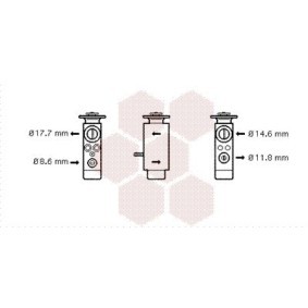 Válvula de Expansão 30001094 de VAN WEZEL de qualidade OEM
