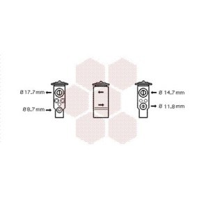 Válvula de Expansão 47001057 de VAN WEZEL de qualidade OEM