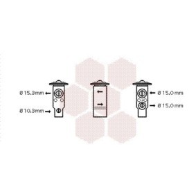 Válvula de Expansão 53001070 de VAN WEZEL de qualidade OEM