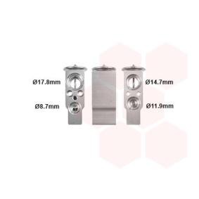 Válvula de Expansão 58001113 de VAN WEZEL de qualidade OEM