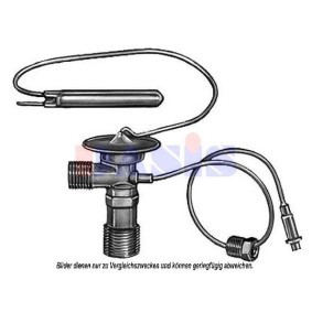 Válvula de Expansão 840160N de AKS DASIS de qualidade OEM