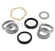 Jogo de rolamentos de roda DEFENDER LAND ROVER ac 2009 R180.02 de SNR com desconto