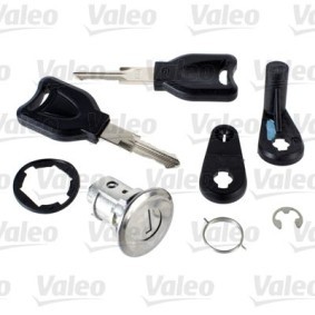 Canhão de fechadura RENAULT 256962 de VALEO 7701367879 comprar baixo custo