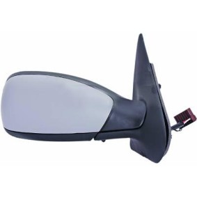 Espelho Retrovisor 4232324 de DIEDERICHS de qualidade OEM