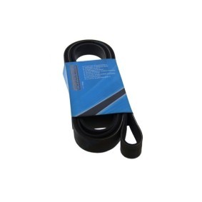 Correia trapezoidal estriada BENTLEY 262250 de MAPCO comprar baixo custo