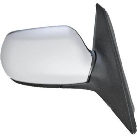 Espelho Retrovisor 5618024 de DIEDERICHS de qualidade OEM