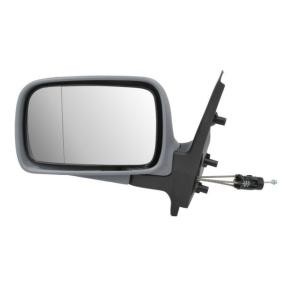 Espelho Retrovisor 5402-04-1121540P de BLIC de qualidade OEM