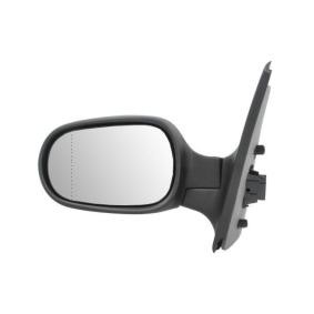 Espelho Retrovisor 5402-04-1125173P de BLIC de qualidade OEM
