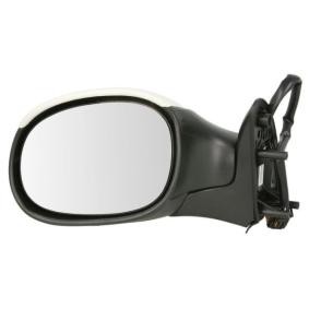 BLIC 5402-04-1111339P Retrovisor exterior experiência de atendimento ao cliente