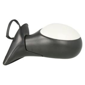 BLIC 5402-04-1111339P Retrovisor exterior rever