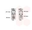 Comprar baratas 8UW 351 239-021 Válvula de expansão, ar condicionado de VAN WEZEL