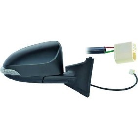 Espelho Retrovisor 6607024 de DIEDERICHS de qualidade OEM