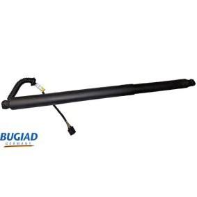 Espelho Retrovisor BSP22312 de BUGIAD de qualidade OEM