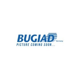 Espelho Retrovisor BSP24455 de BUGIAD de qualidade OEM