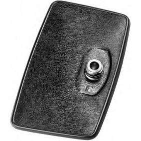 Espelho Retrovisor 8SB 002 995-001 de HELLA de qualidade OEM