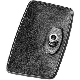 HELLA 8SB 002 995-011 Retrovisor exterior alterar