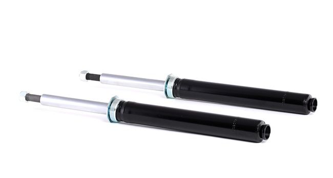 Stoßdämpfer RIDEX 854S1725 für SAAB Autos günstiger kaufen.