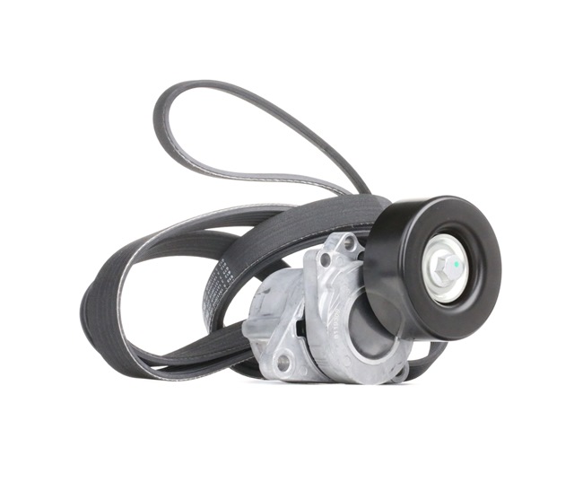 Serpentine Belt for NISSAN XTrail (T30) QR20DE 2.0 140 HP reduced prices