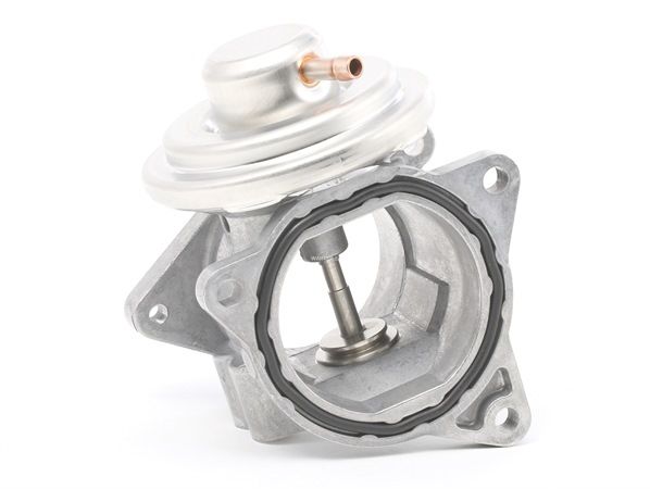 Válvula de recirculação dos gases de escape 7496D de WAHLER de qualidade OEM