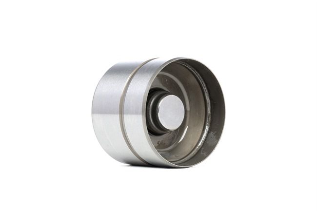 Came de válvula 420 0043 10 de INA 050109309 de qualidade OEM