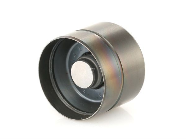 Came de válvula 420 0209 10 de INA de qualidade OEM