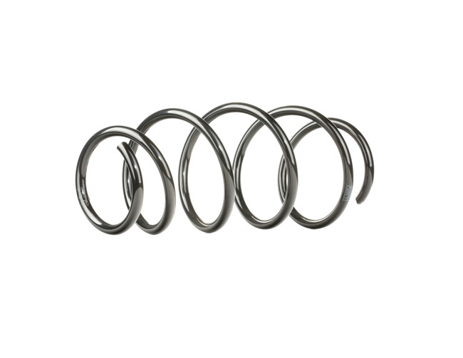 Lesj/öfors 4226169/ Lowering Springs