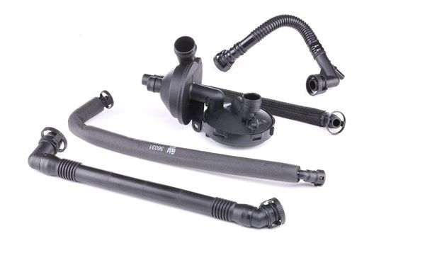 Válvula, respiro do cárter da cambota BMW 46303 de FEBI BILSTEIN 11 61 1 432 558, 11 61 7 501 566 comprar baixo custo