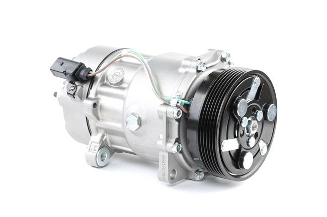 Kompressor, Klimaanlage 447K0060 von RIDEX billiger