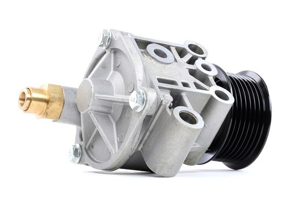 Buy cheap 387V0012 Vacuum Pump, brake system from RIDEX 1103470, 1434548