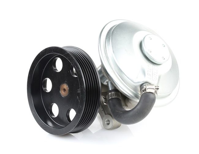 387V0020 Pompe à vide, système de freinage de RIDEX 456532 pas chères en ligne